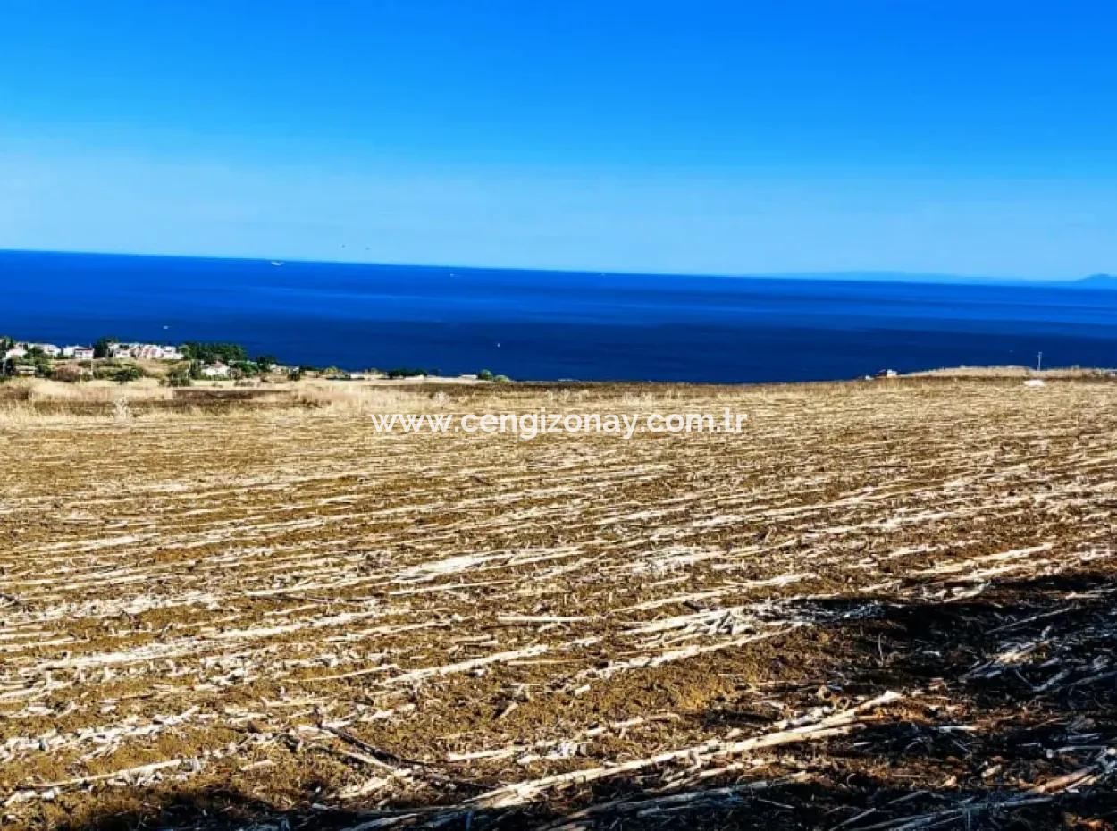 Tekirdağ Barbarosta Acil Satılık Kooparetif Ve Site Yapmaya Uygun. Yatırımcısına Yüksek Kaznç Garantisi