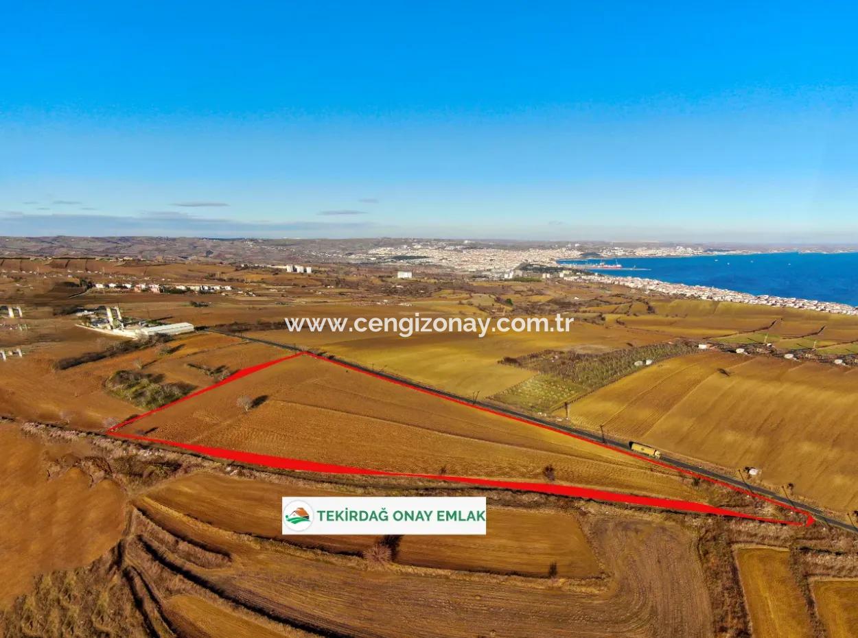 Tekirdağ Süleymanpaşa Barbaros Mahallesinde 34 000 M2 Kiralık Tarla