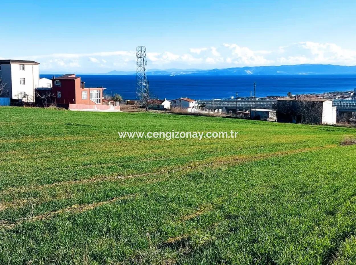 Tekirdağ Süleymanpaşa Barbaros Mahallesinde Deniz Manzaralı 2 950 M2 Konut İmarlı Yer