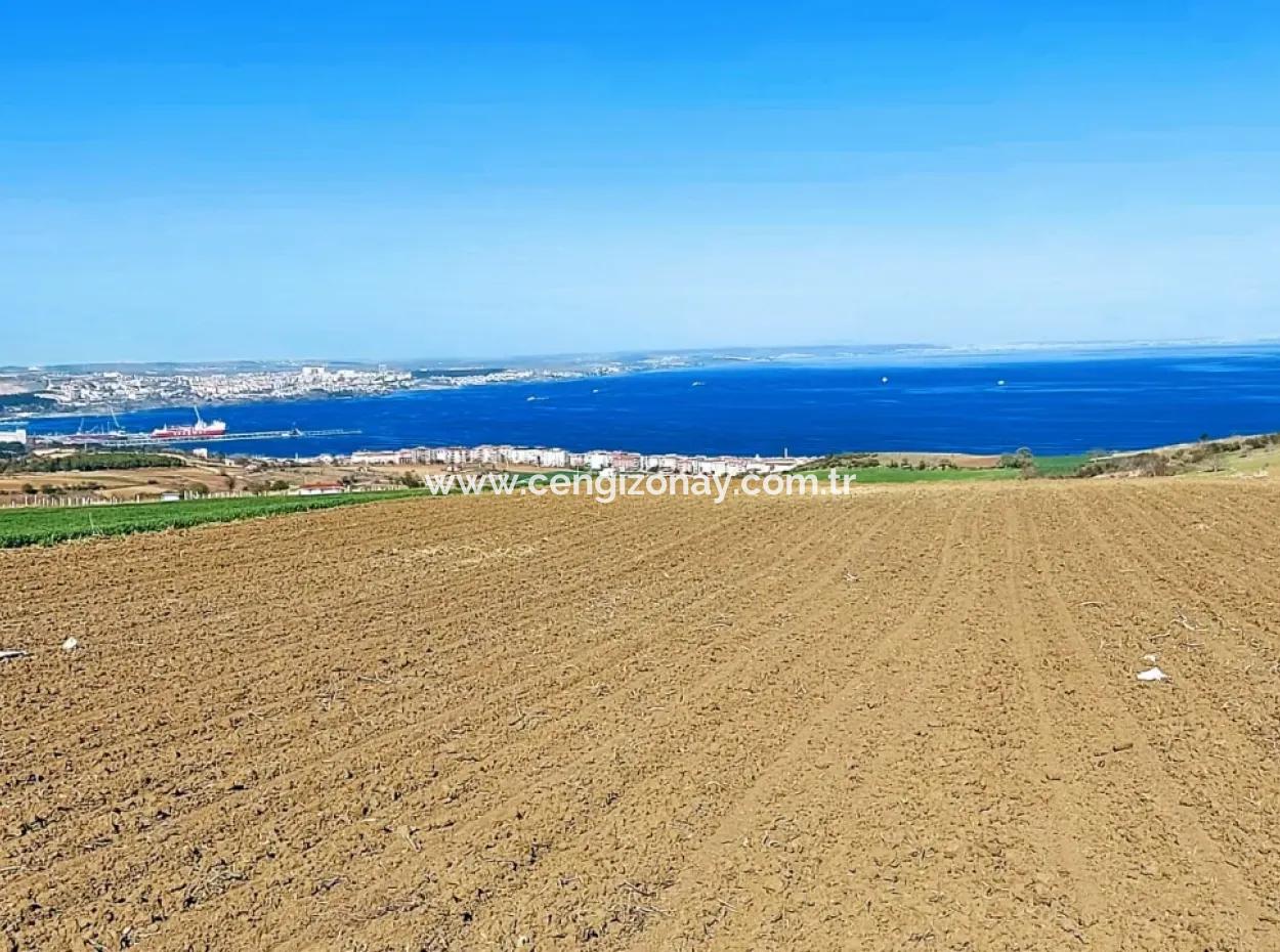 Tekirdağ Süleymanpaşa Barbaros'taki Bu 9.400 M2 Arazi, Muhteşem Bir Konumda Bulunmaktadır