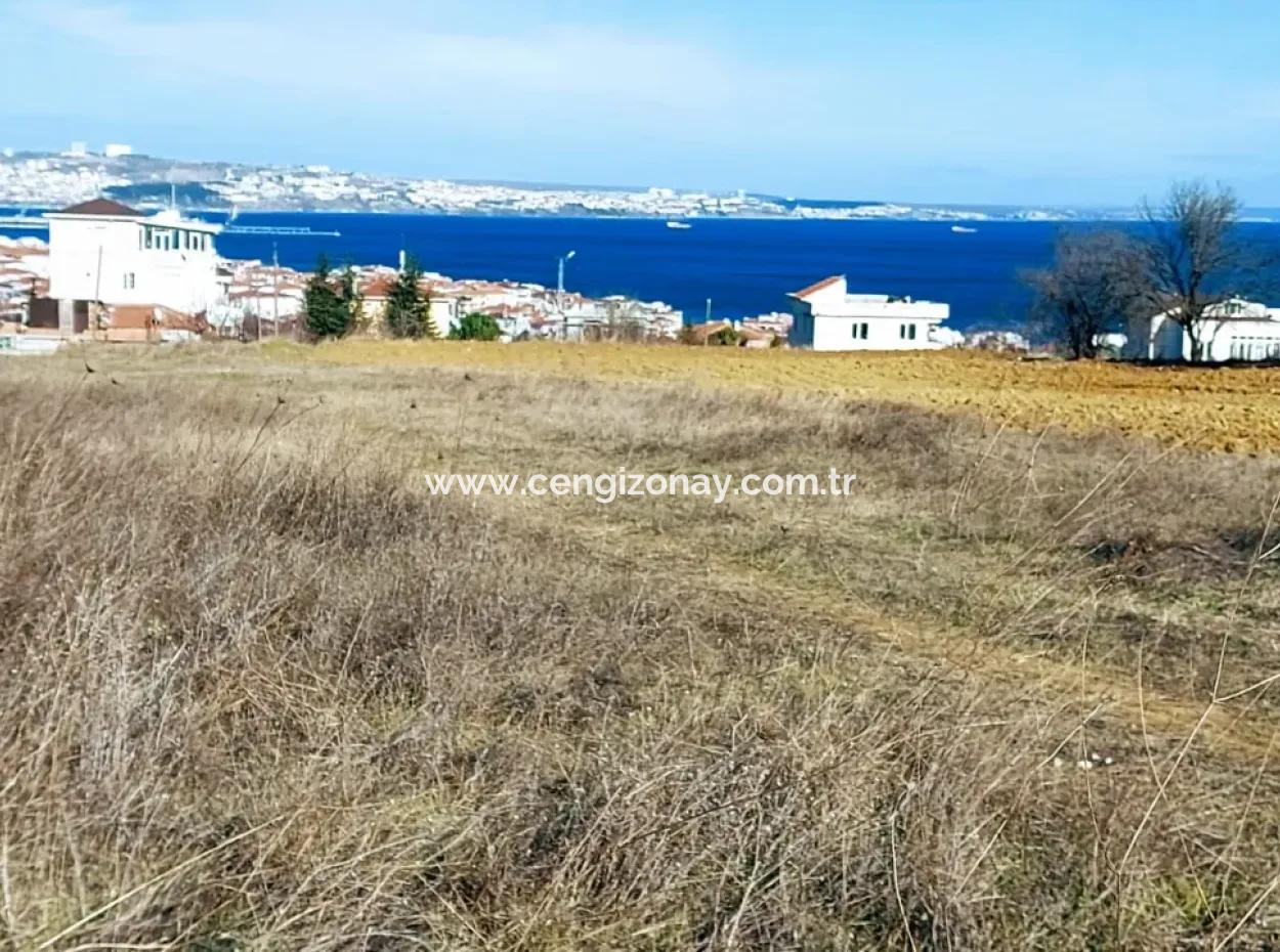 Tekirdağ Barbaros Topağaç Mahallesinde Satılık 380 M2 Köşe Arsa