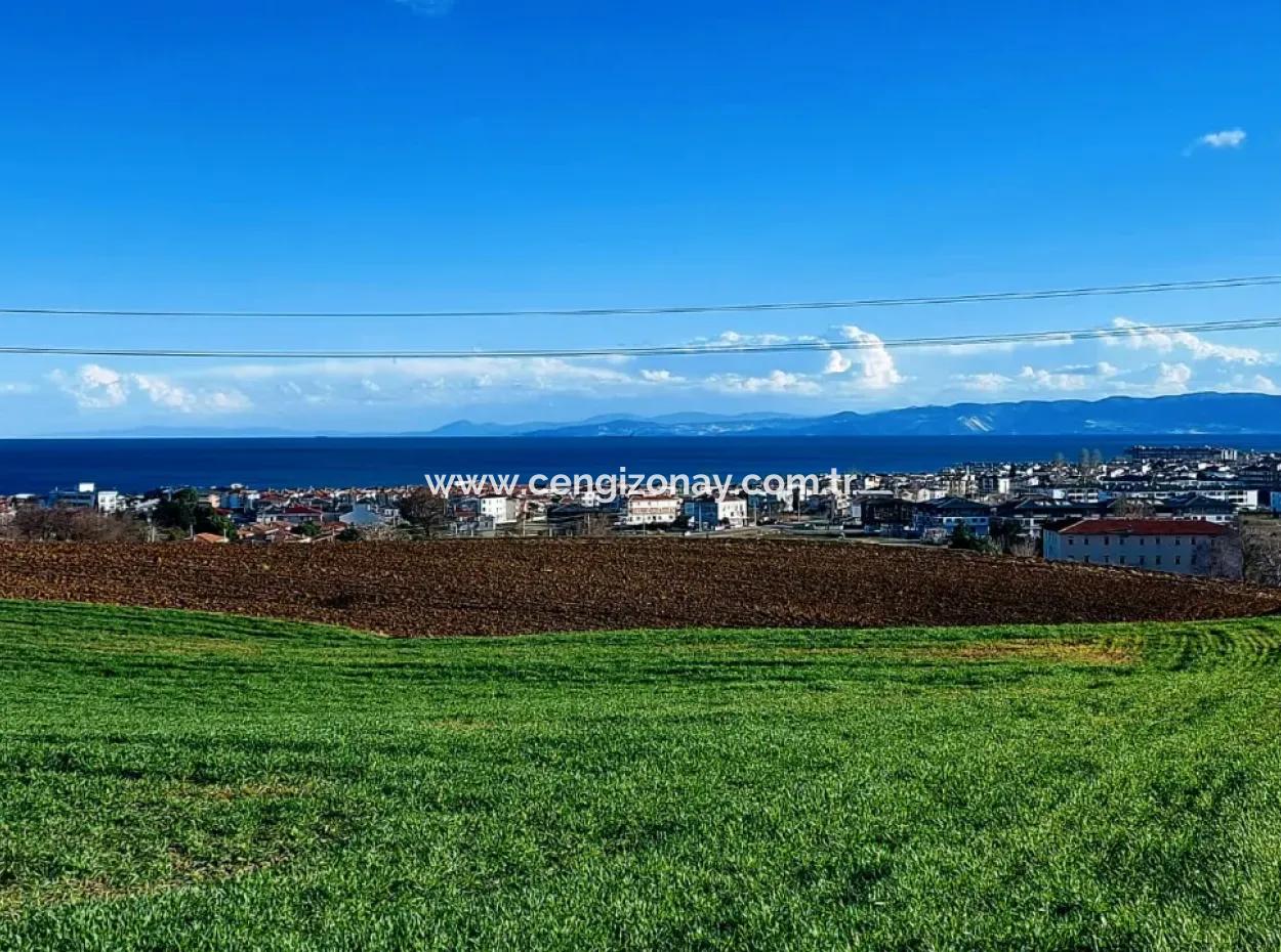 Tekirdağ Süleymanpaşa Barbaros'ta Bulunan Bu 11.100 M2 Konut İmarlı Arazi, Harika Bir Konumda Yer Alıyor.