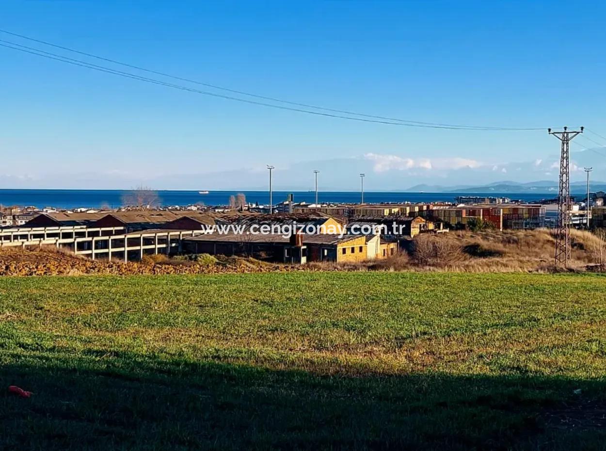 Tekirdağ Süleymanpaşa Barbaros'ta 3.100 M2 Muhteşem Deniz Ve Doğa Manzaralı Satılık Tarla