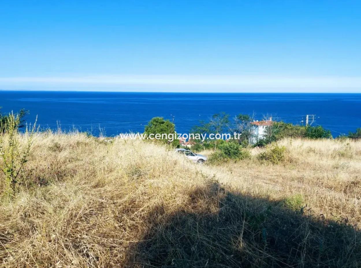 Tekirdağ Barbaros'ta Full Deniz Manzaralı, 3 Adet Villa İçin Uygun 590 M2 Arsa!