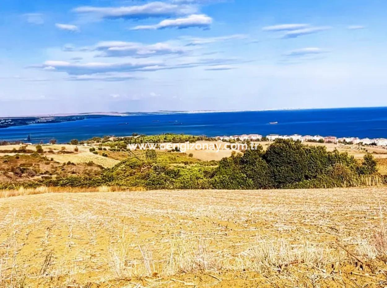 Tekirdağ Barbarosta, 15.500 M2 Full Deniz Ve Doğa Manzaralı Villa İmarlı Yatırım Arsamız!