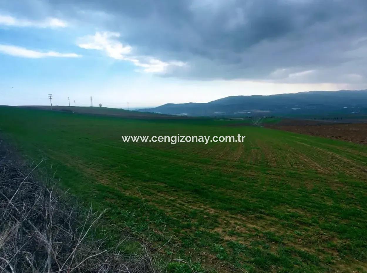 Tekirdağ Barbaros Bölgesinde Asyaport Limanı Mevcut İmar Planı İçinde Ticari Ve Sanayi Alanı Yatırım Fırsatı