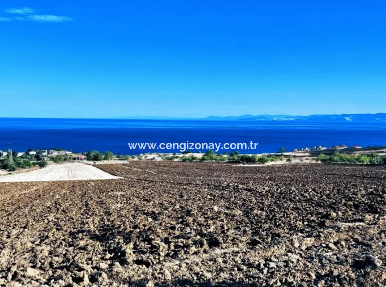 Tekirdağ Topağaç Mahallesinde Acil Satılık Harika Deniz Manzaralı Koopatetif Ve Site Yapımına Uygun Yer