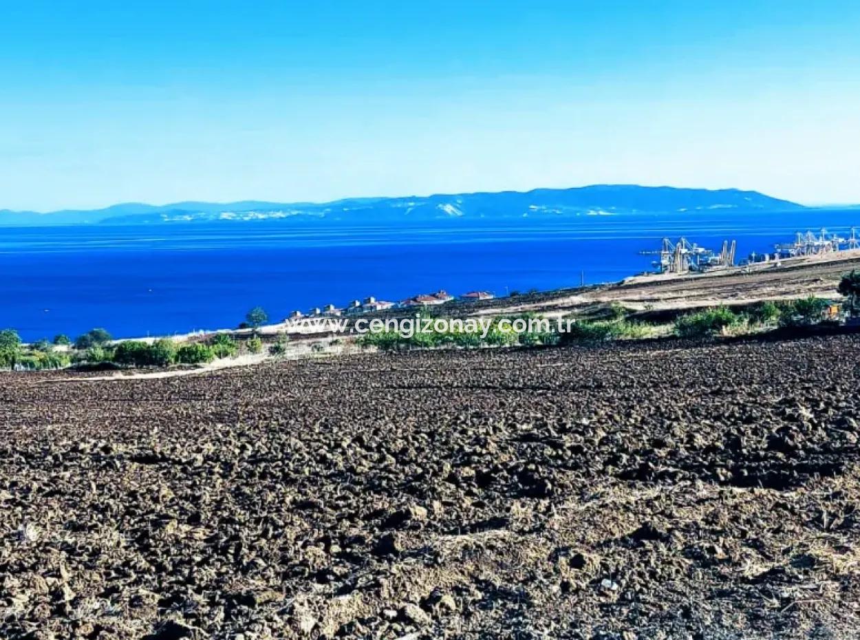 Tekirdağ Barbarosta Acil Satılık 50 Dairelik Kooparetif Ve Ste Yapmaya Uygun Kupon Yer