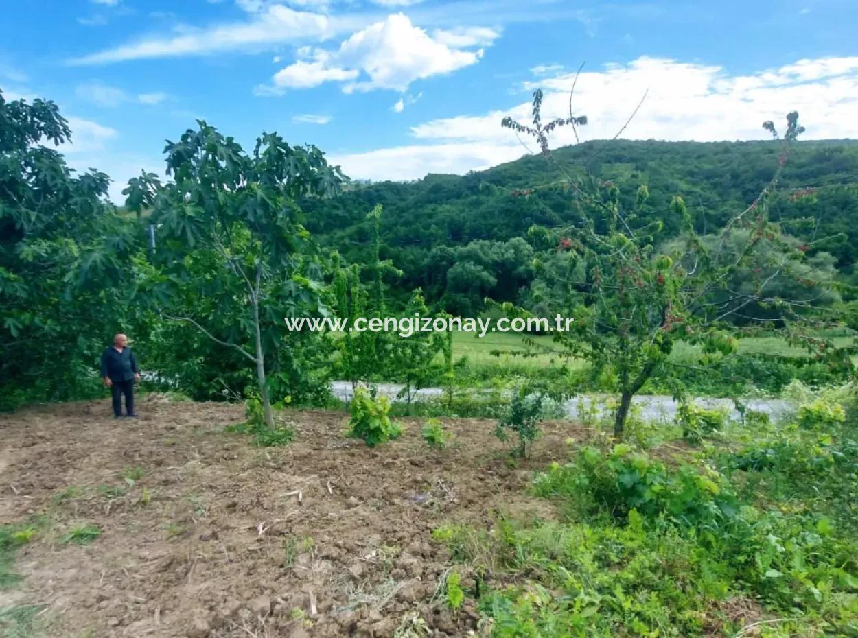 Tekirdağ Avşar Mahallesinde Acil Satılık 2.820 M2 Doğa İçinde Tıny House Koymaya Müsait Kupon Yer