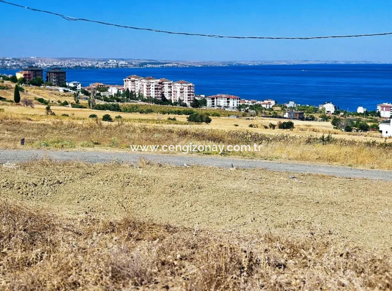 Tekirdağ Barbarosta Hayel Ettiğiniz Müstakil Ev Yapmaya Uygun Acil Satılık Kupon Arsa