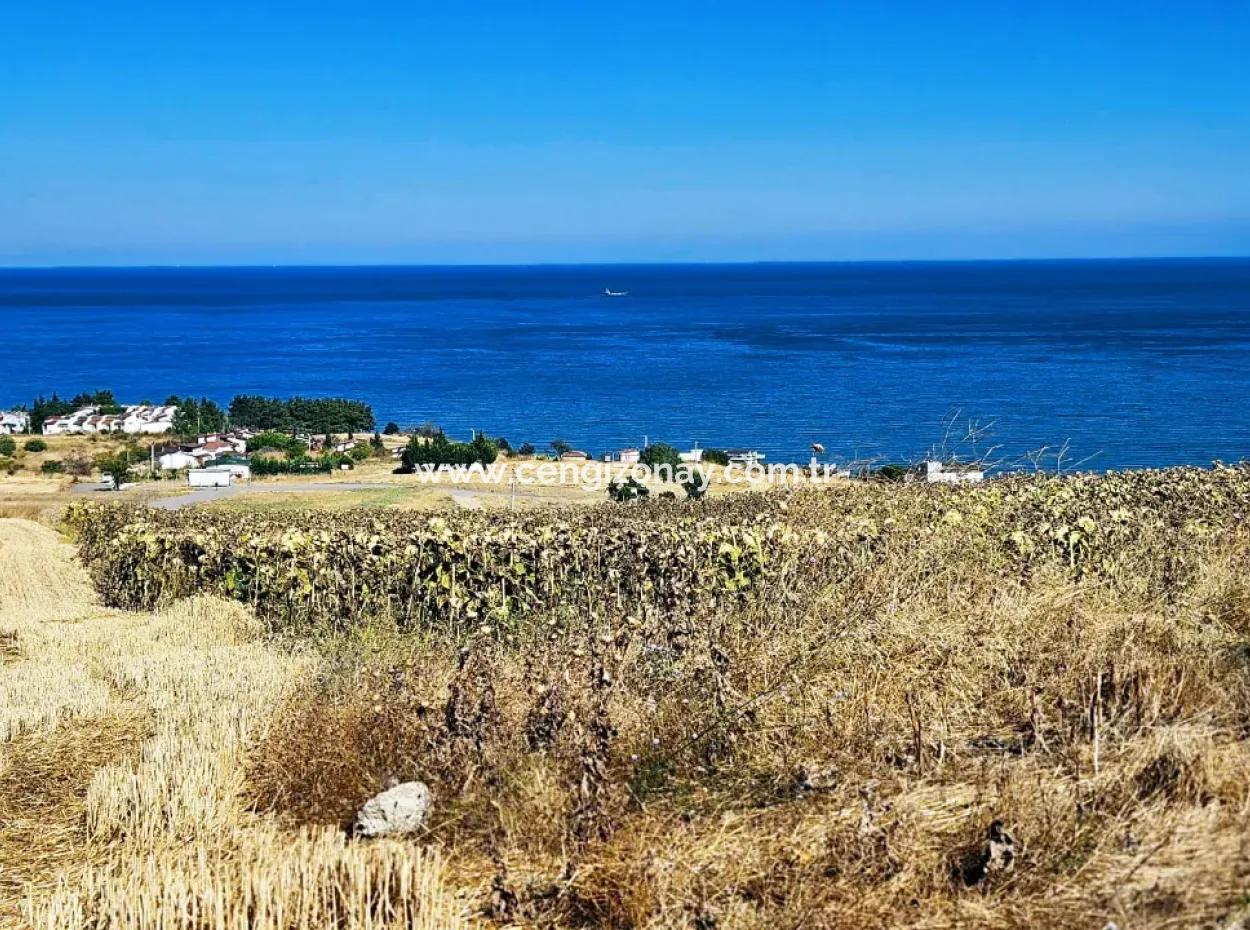 Tekirdağ Barbarosta Hayel Ettiğiniz Müstakil Ev Yapmaya Uygun Acil Satılık Kupon Arsa