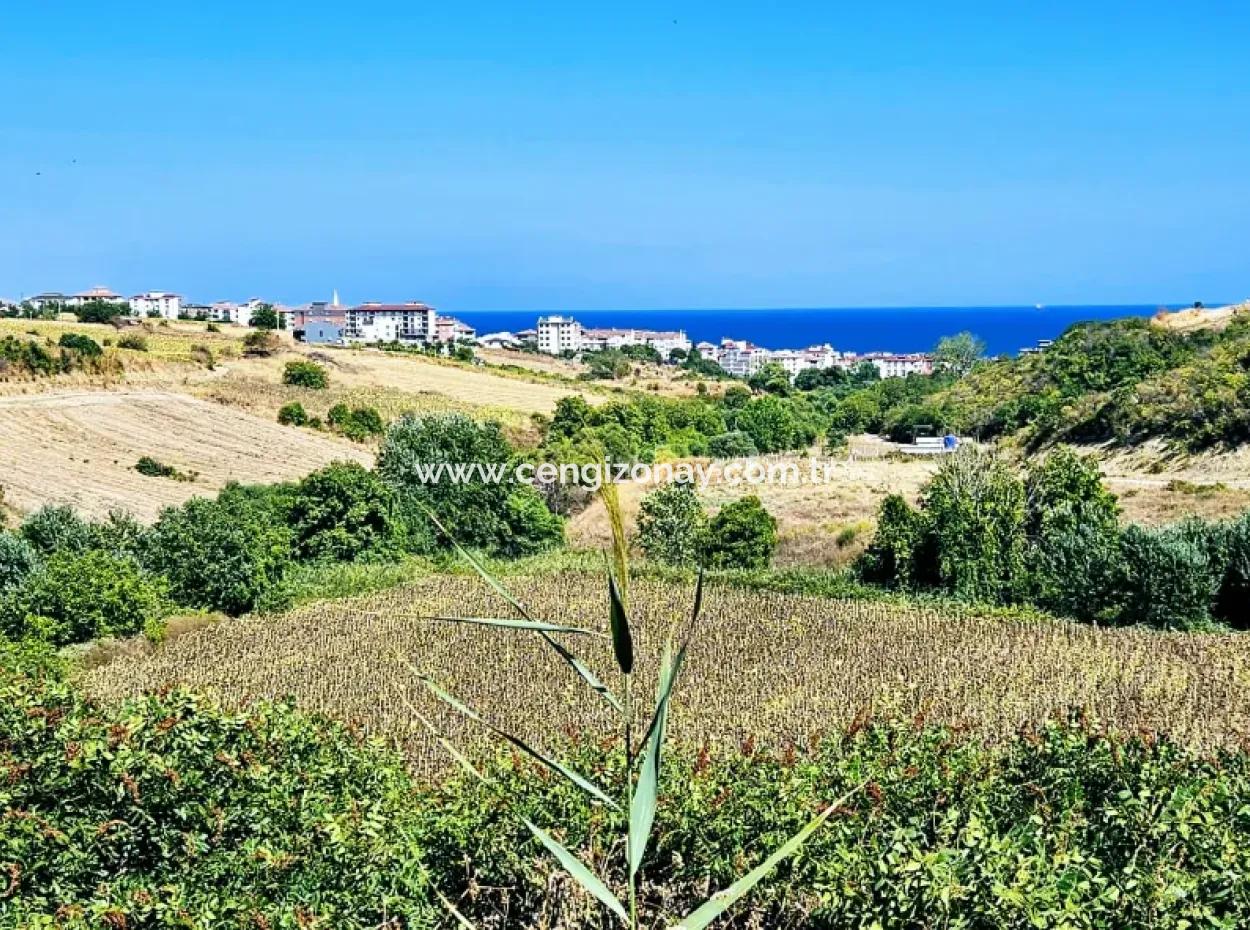 Tekirdağ Barbarosta Acil Satılık 9.100 M2 Villa İmarlı Tarla