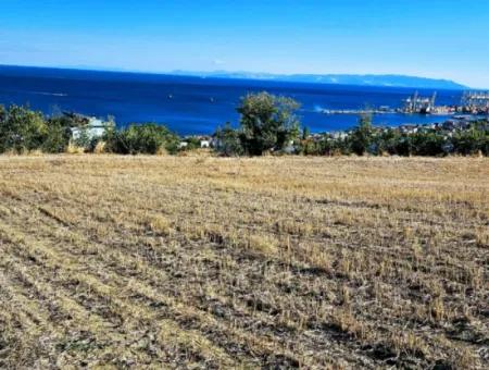 Tekirdağ Barbarosta Acil Satılık Full Deniz Manzaralı 25 Dairelik Kupon Yer