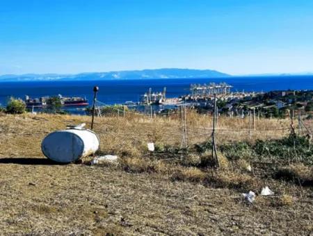 Tekirdağ Barbarosta Acil Satılık Full Deniz Manzaralı 765 M2 Kelepir Arsa