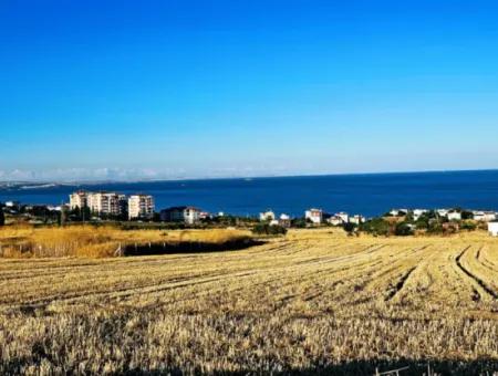 Tekirdağ Barbarosta  Acil Satılık 1.750 M2 Full Deniz Manzaralı Kelepir Köşe Arsa