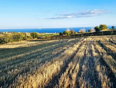 Asyaport Limanı Mevcut İmar Planı İçinde Yatırımcısına Yüksek Kazanç Garantisi Fırsat Arazi