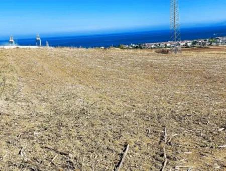 Tekirdağ Barbaros'ta Bulunan 21,900 M2 Arsa, Asyaport Limanı Mevcut İmar Planı İçinde Yer Almaktadır