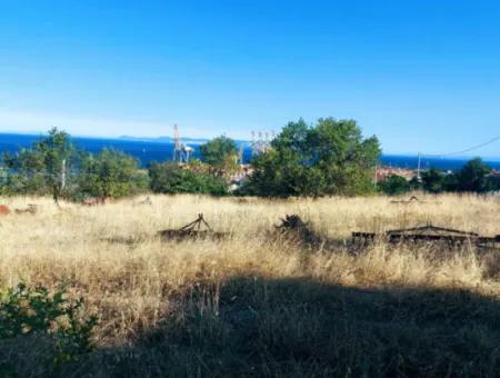 Tekirdağ Barbaros'ta Full Deniz Manzaralı, 3 Adet Villa İçin Uygun 590 M2 Arsa!