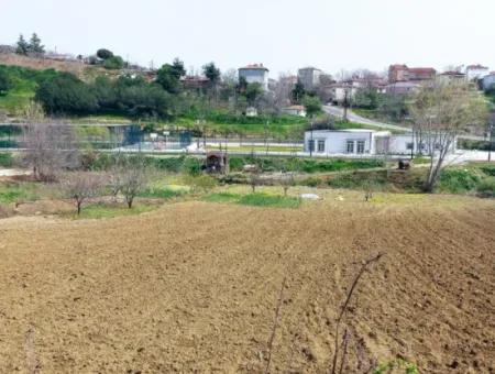 Asyaport Limanına Çok Yakın Yüksek Kazanç Garantisi Konut İmarlı Yer