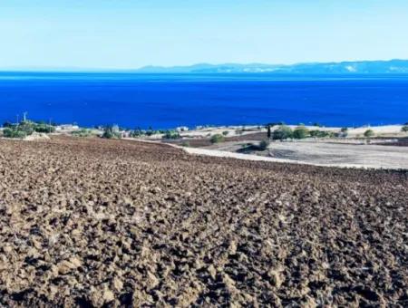 Tekirdağ Barbarosta Acil Satılık 50 Dairelik Kooparetif Ve Ste Yapmaya Uygun Kupon Yer