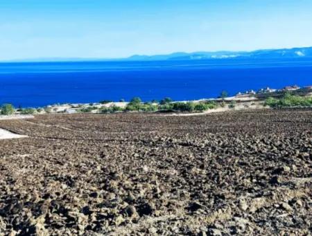 Tekirdağ Barbarosta Acil Satılık 50 Dairelik Kooparetif Ve Ste Yapmaya Uygun Kupon Yer