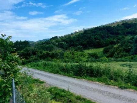 Tekirdağ Avşar Mahallesinde Acil Satılık 2.820 M2 Doğa İçinde Tıny House Koymaya Müsait Kupon Yer