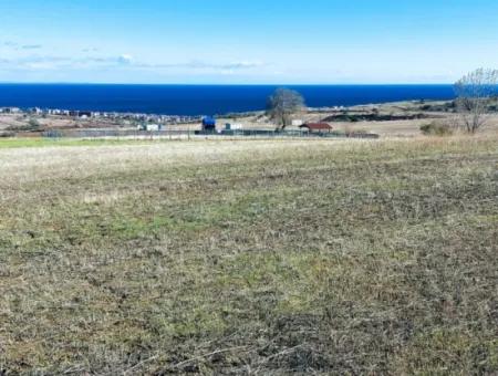 Tekirdağ Barbarosta'da Acil Satılık, 15.000 M2 Villa İmarlı Tarla!