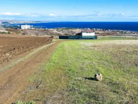 Tekirdağ Barbarosta'da Acil Satılık, 15.000 M2 Villa İmarlı Tarla!