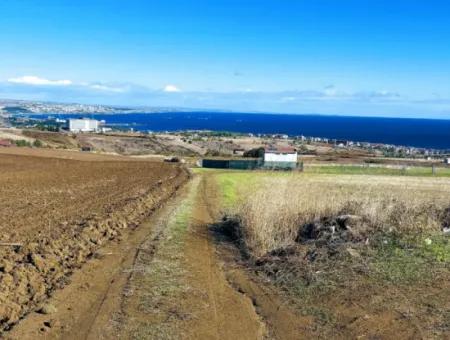 Tekirdağ Barbarosta'da Acil Satılık, 15.000 M2 Villa İmarlı Tarla!