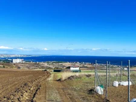 Tekirdağ Barbarosta'da Acil Satılık, 15.000 M2 Villa İmarlı Tarla!