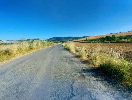 Tekirdağ Naip Mahallesinde Acil Satılık Anayol Cepheli Tıny House Kurmak İçin Harika Fırsat Tarla