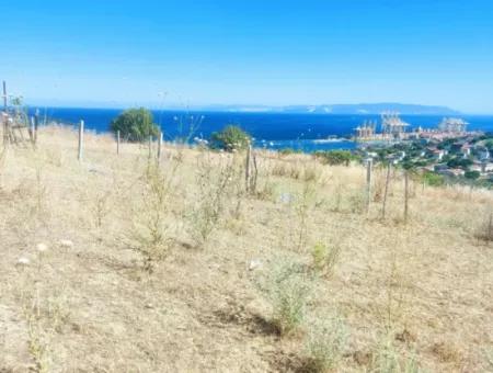 Tekirdağ Barbarosta Acil Satılık Full Deniz Manzaralı 765 M2 Kelepir Arsa