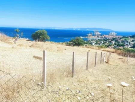 Tekirdağ Barbarosta Acil Satılık Full Deniz Manzaralı 765 M2 Kelepir Arsa