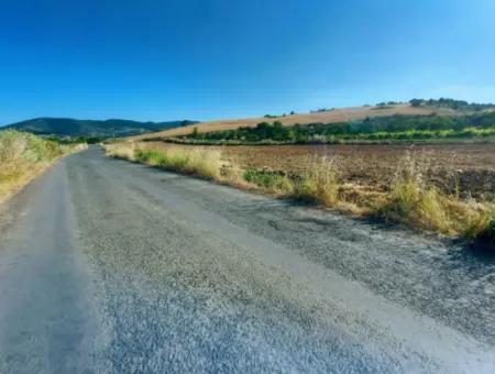 Tekirdağ Naip Mahallesinde Acil Satılık Anayol Cepheli Tıny House Koymaya Uygun Kupon Tarla