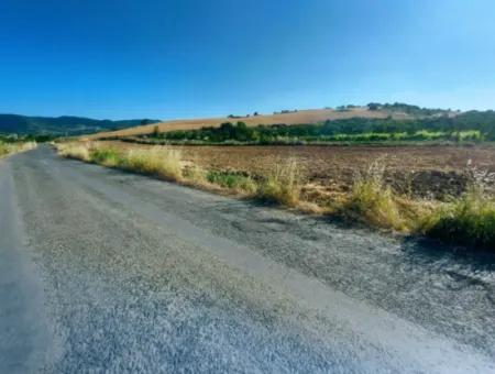 Tekirdağ Naip Mahallesinde Acil Satılık Anayol Cepheli Tıny House Koymaya Uygun Kupon Tarla