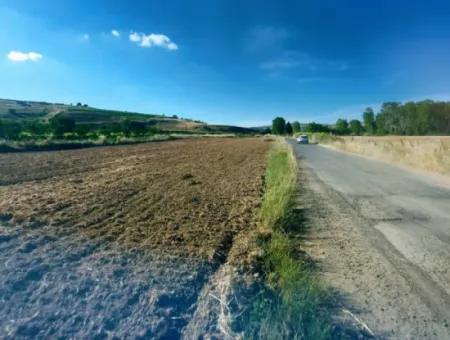 Tekirdağ Naip Mahallesinde Acil Satılık Anayol Cepheli Tıny House Koymaya Uygun Kupon Tarla