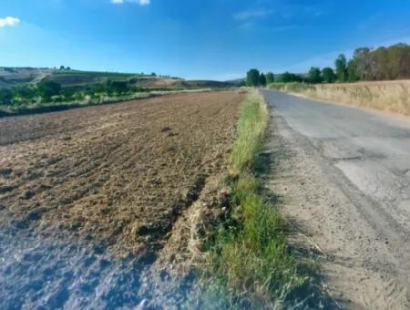 Tekirdağ Naip Mahallesinde Acil Satılık Anayol Cepheli Tıny House Koymaya Uygun Kupon Tarla