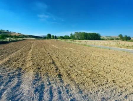 Tekirdağ Naip Mahallesinde Acil Satılık Anayol Cepheli Tıny House Koymaya Uygun Kupon Tarla