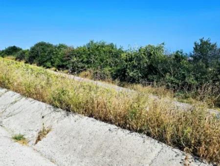 Tekirdağ Aşağkılıçlı Mah. Anayol Cepheli 2.340 M2 Al - Sata Uygun Yüksek Kazanç Vaaed Eden Acil Satılık Kupon Tarla