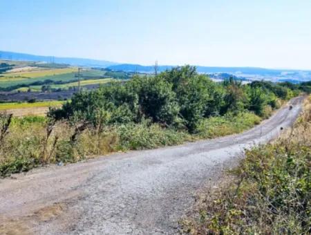 Tekirdağ Aşağkılıçlı Mah. Anayol Cepheli 2.340 M2 Al - Sata Uygun Yüksek Kazanç Vaaed Eden Acil Satılık Kupon Tarla