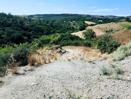 Tekirdağ Çanakçı Mahallesinde Kazançlı Yatırım Yapmak İsteyenler İçin Acil Satılık Kelepir Kopon Tarla