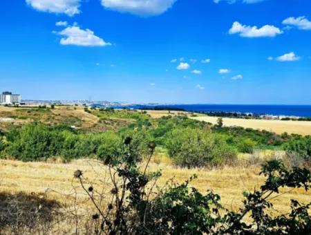 Tekirdağ Barbarosta Takas + Nakit İhtiyaçtan Acil Satılık Villa İmarlı Kupon Tarla