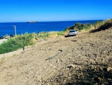 Tekirdağ Barbarosta Hayel Ettiğiniz Denize Sıfır Müstakil Villanızı Yapmaya Uygun Kupon Arsa