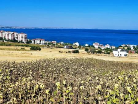 Tekirdağ Barbarosta Hayel Ettiğiniz Müstakil Ev Yapmaya Uygun Acil Satılık Kupon Arsa