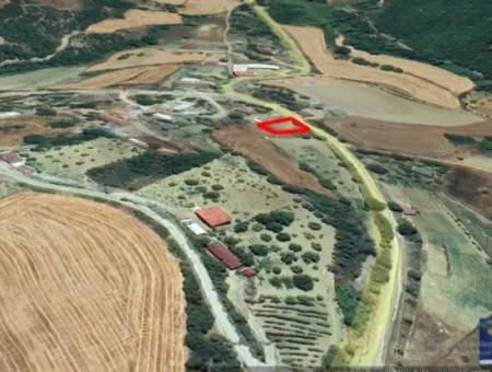 Tekirdağ Avşar Mahallesinde Acil Satılık 335 M2 Köy Evi Yapmaya Uygun Müstakil Tapulu Kupon Yer