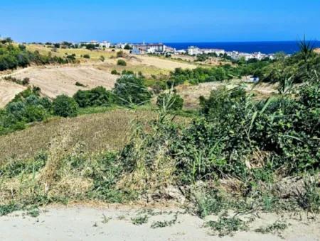 Tekirdağ Barbarosta Acil Satılık 9.100 M2 Villa İmarlı Tarla