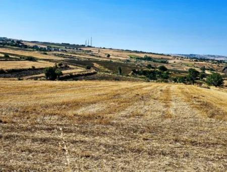 Tekirdağ Barbarosta Acil Satılık 2.650 M2 Villa İmarlı Yatırıma Uygun Kupon Tarla