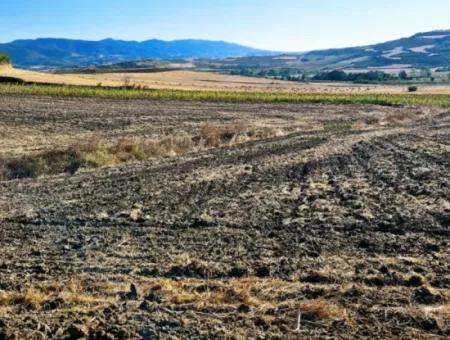 Asyaport Limanı Mevcut İmara Çok Yakın Yatırımlık Yapmak İsteyenler İçin Kaçırılmayacak Fırsat Arazi