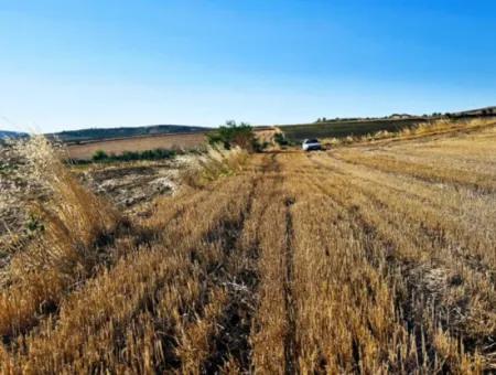 Asyaport Limanı Mevcut İmara Çok Yakın Yatırımlık Yapmak İsteyenler İçin Kaçırılmayacak Fırsat Arazi