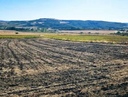 Asyaport Limanı Mevcut İmara Çok Yakın Acil Satılık 17.350 M2 Kelepir Yatırımlık Kupon Tarla